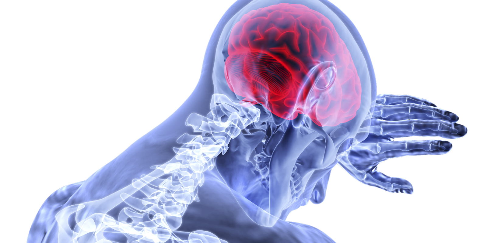 NEUROLOGY